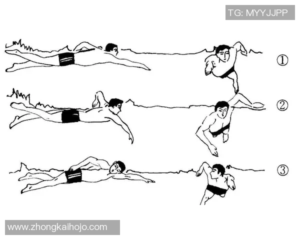 自由泳技巧全解析 从入门到提高的完整教学视频
