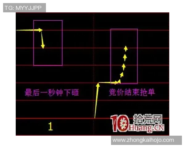 南京羽毛球队战术分析与发展策略的深度探讨